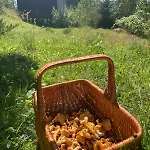 Miko Ii Ferienhaus Slawske