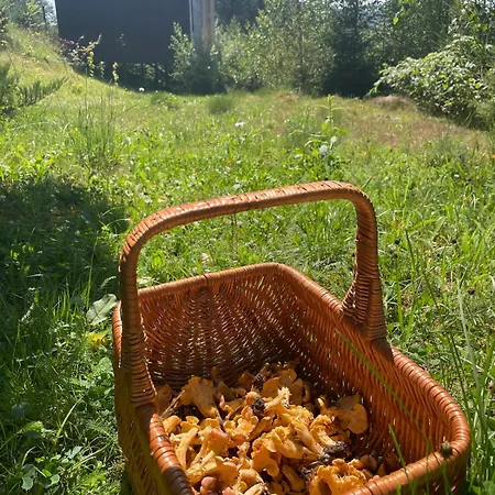Miko Ii Vakantiehuis Slavske